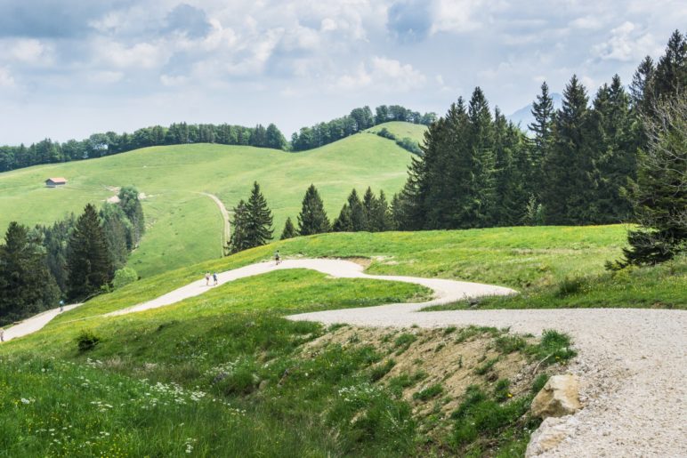 Ungefähr am höchsten Punkt der Wanderung: Jetzt geht es bergab über die Almwiesen am Breitenberg