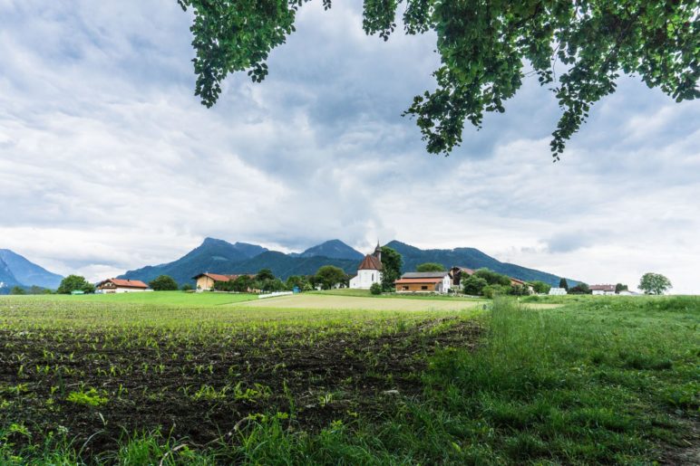 Blick vom Waldrand nach Höhenberg