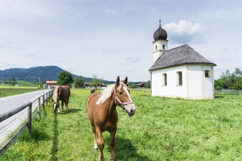 Direkt an der Leonhardi-Kapelle in Hundham beginnt die Wanderung auf den Schwarzenberg