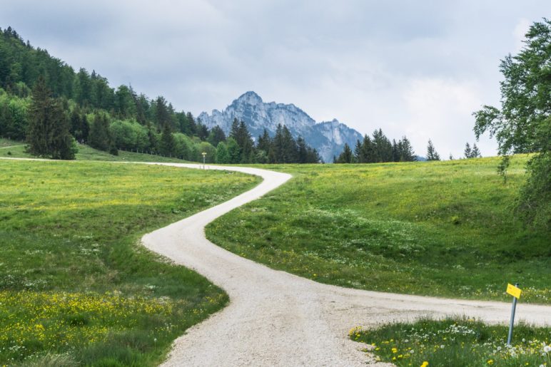 Noch einmal ein Blick zurück auf die Gedererwand