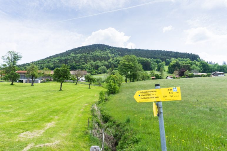 Noch sehen wir dem Schwarzenberg nicht an, dass er ein echter Panorama-Gipfel ist