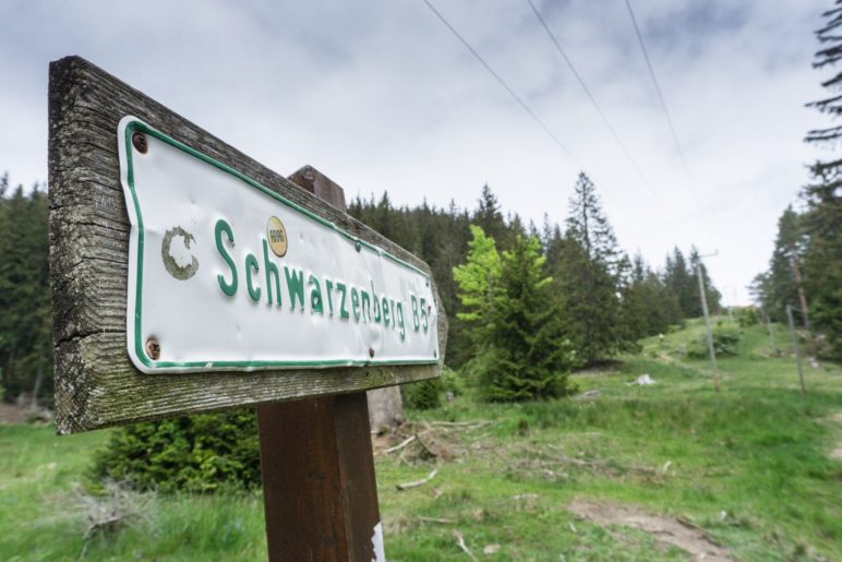 Endlich wechseln wir von der Straße auf einen Wiesenweg