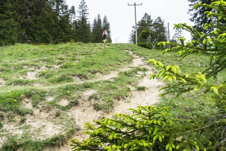 Aufstieg über den Wiesenweg