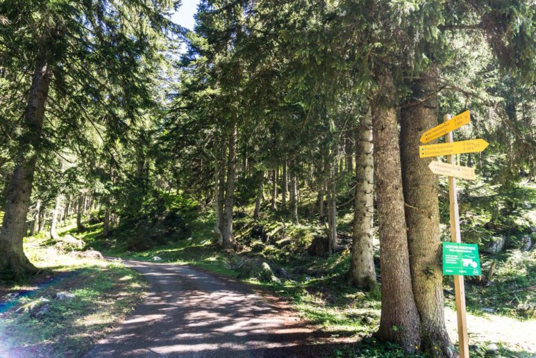 Hier nehmen wir den linken Weg zum Dürrnbachhorn