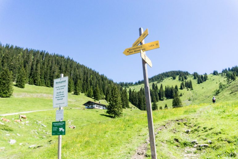 Wieder auf dem linken Weg weiter: Der Wiesenweg führt uns zur ersten Einkehr.