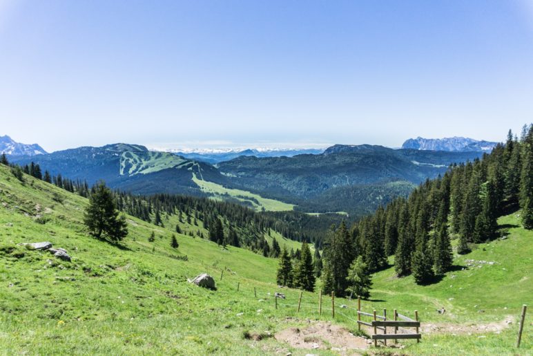 Ein Blick zurück über die Almwiesen zu Kaiser und in die Alpen