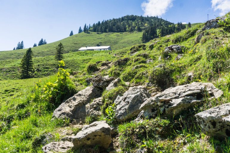 Auf dem Weg zur Rampoldalm