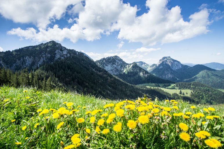 Bergpanorama vom Gipfel der Rampoldplatte