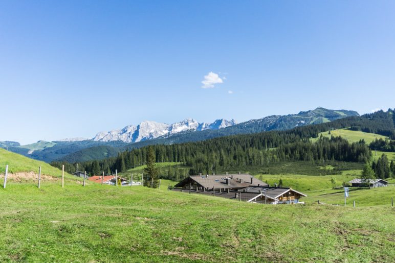 Zurück auf der Winklmoosalm