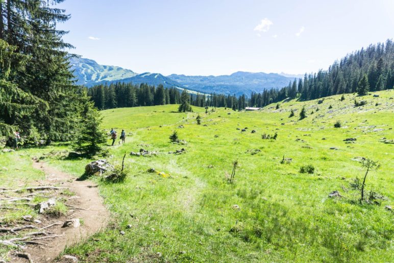 Auf der Finsterbachalm