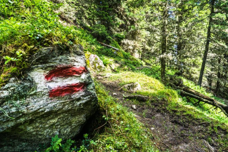 Auf dem Steig zur Salfeins Alm