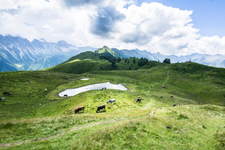 Der Blick hinüber zum nahen Grieskogel