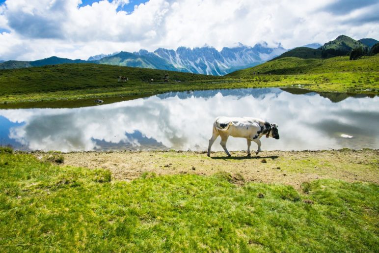 Der Salfeiner See und die Kalkkögel