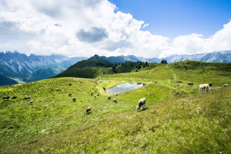 Der Blick vom Salfains-Gipfel über den See zu den Kalkkögeln