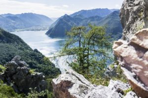 Blick vom Weg zum Südende des Traunsees bei Ebensee