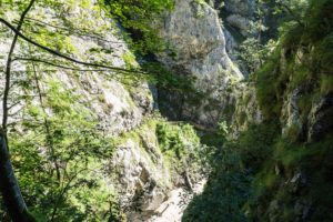 Kurz vor dem Ende der Klamm: Ein Blick zurück in die Schlucht