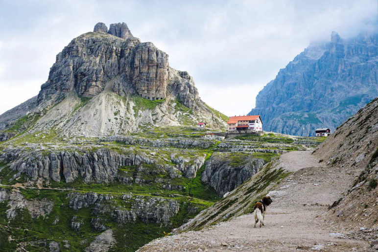 Auf den letzten Etappen führt der Sentiero della Pace an der Dreizinnenhütte entlang - Foto: Romy Robst