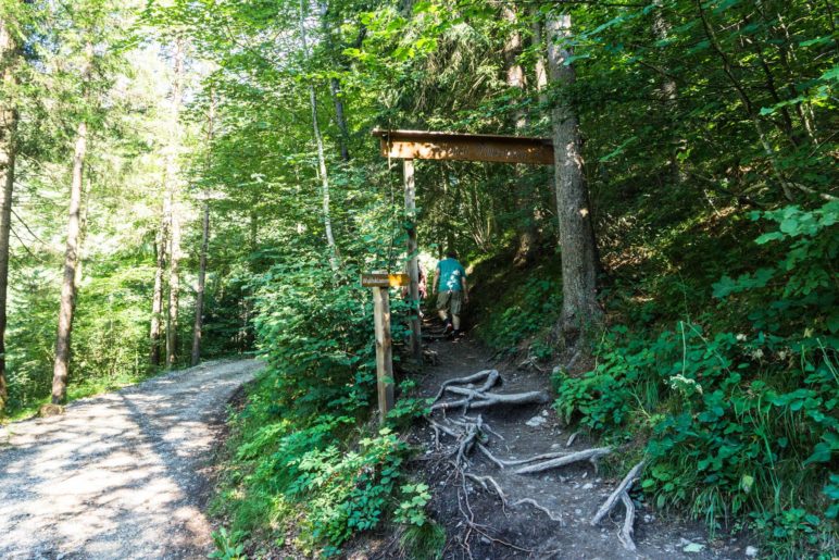 Nicht den Beginn der Klamm verpassen! Hier zweigt der Weg rechts ab