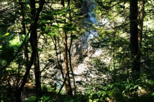 Ein ertser Blick auf den Bach in der Wolfsklamm