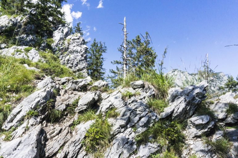 Auf dem Gratweg zum Gipfelkreuz wird es deutlich felsiger als zuvor