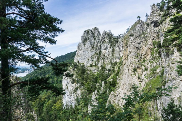 Blick auf den höchsten Punkt der  Kaltenbachwildnis, den Adlerhorst