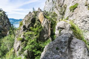 In der Kaltenbachwildnis am Traunsee