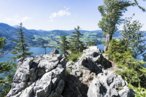 Kurz vor dem Gipfel vom Kleinen Schönberg