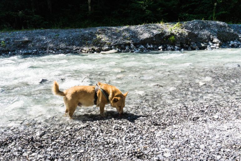 Pause am und im Stanser Bach oberhalb der Klamm