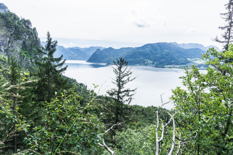 Ein schneller Blick auf den Traunsee, bevor wir in die Kaltenbachwildnis absteigen