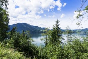 Blick auf den Traunsee