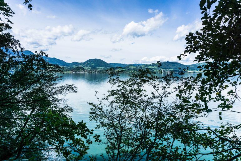 Blick auf den Traunsee