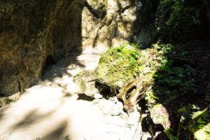 Das Spiel von Licht und Schatten in der Klamm