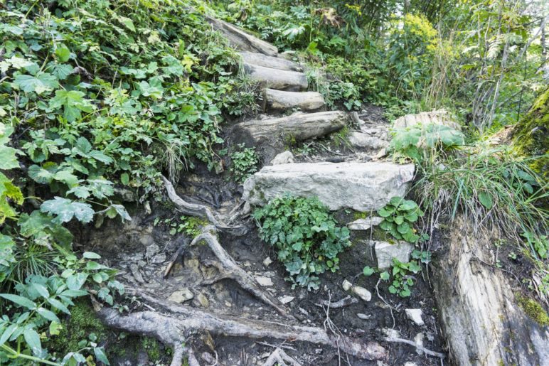 Treppen auf dem Aufstiegsweg im Wald