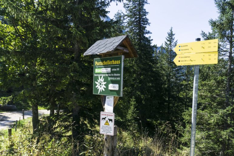 Am Beginn der Wanderung, gegenüber vom Ahornkaser an der Roßfeld-Panoramastraße