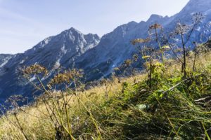 Auf dem Abstiegsweg, mit dem Hohen Göll im Hintergrund