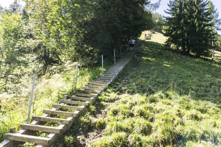 Die langen Holztreppen auf dem Deutschen Weg