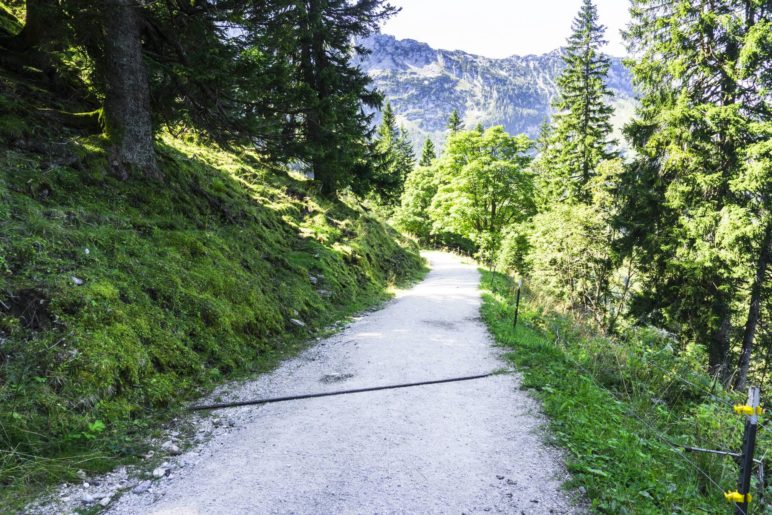 Steil bergab wandern wir zum Eckersattel