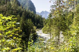 Der Blick auf den Wimbach und das Wmbachtal hinauf