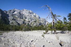 Bergab durch das Wimbachgries, mit Blick auf den Hochkalter