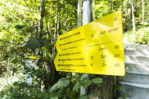 Nur wenige Meter führt der Weg hinunter in die Klamm