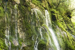 An den bemoosten Wänden läuft das Wasser herunter