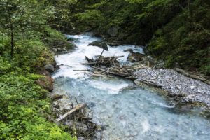 Schwemmholz vor der Wimbachklamm