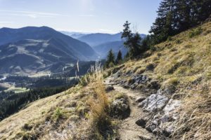 Eiun schöner, schmaler Steig führt von der Käserwand über die Wiese bergab