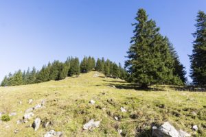 Der Ahornbüchsenkopf von Westen gesehen