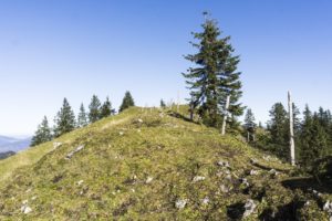 Ein Blick zurück im Abstieg