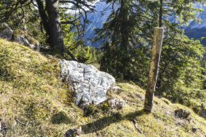 Ein Grenzstein am Ahornbüchsenkopf