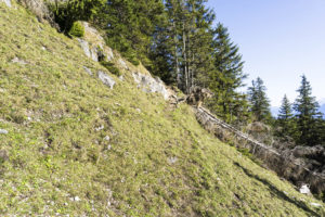 Die kurze Querung einer steilen Grasflanke