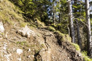 Kurz darauf führt der Steig ein paar Meter durch den Wald