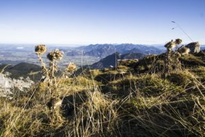 Ein Blick in die Chiemgauer Alpen