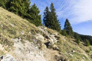 Im oberen Teil wird der Wieseweg leicht felsig